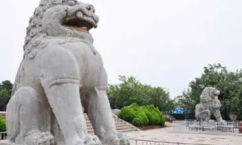 Khi hiện vật lạ "ùn ùn" vào di tích: Sư tử trong mỹ thuật Đại Việt khác gì với sư tử đá Trung Quốc ?