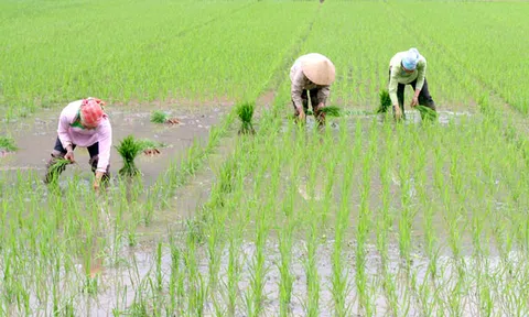 Quảng Đông: Thực hiện Chỉ thị 03 là nhiệm vụ thường xuyên, liên tục trong công tác xây dựng Đảng