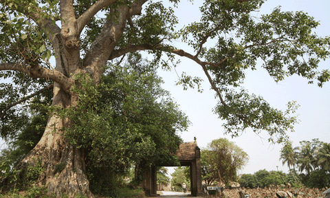 Để có một làng cổ Đường Lâm sạch đẹp hơn