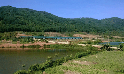 HTX chăn nuôi và dịch vụ tổng hợp Phú Sơn vượt khó vươn lên