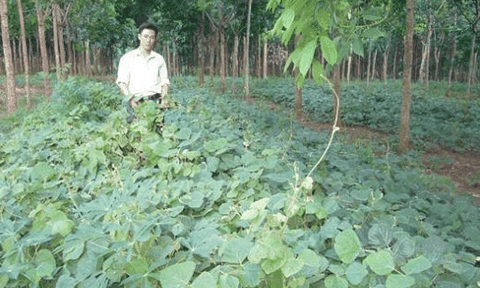 Xã Đức Bồng: Đẩy nhanh tiến độ xây dựng nông thôn mới