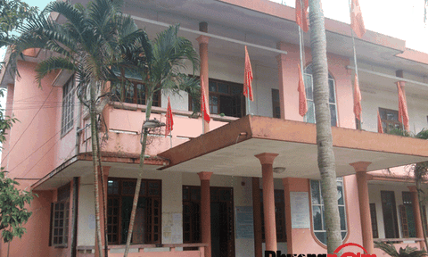 Xã Đại Trạch: Nhiều giải pháp nhằm đẩy mạnh phát triển kinh tế - xã hội