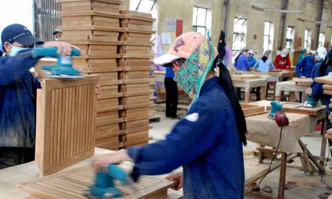 Lối thoát của ngành gỗ Bình Định