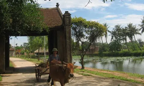 Vùng đất địa long phát vương khiến thầy phong thuỷ phương Bắc không thể "trấn yểm"
