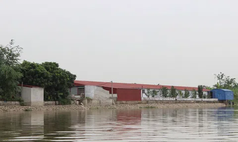 Hải Phòng: Dân khốn khổ vì Chủ tịch UBND xã cho “thầu chui”?