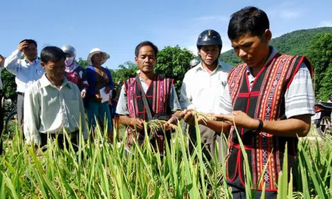 Kon Tum: Kiểm tra thực hiện chương trình, chính sách dân tộc trên địa bàn