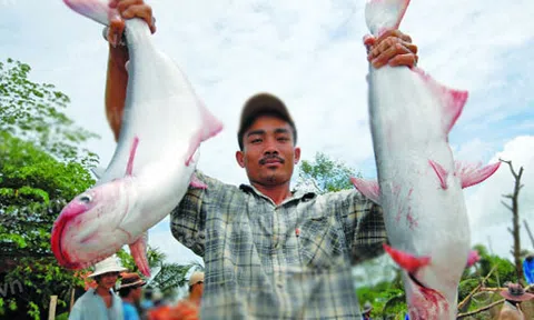 Tái cơ cấu nông nghiệp là động lực xây dựng NTM