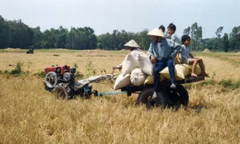 Vai trò tổ chức đảng, đoàn thể trong xây dựng cánh đồng liên kết