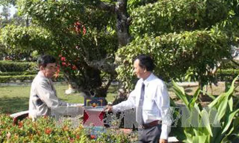 Cây Khế, cây Sộp tại Khu mộ cụ Nguyễn Sinh Sắc là cây Di sản