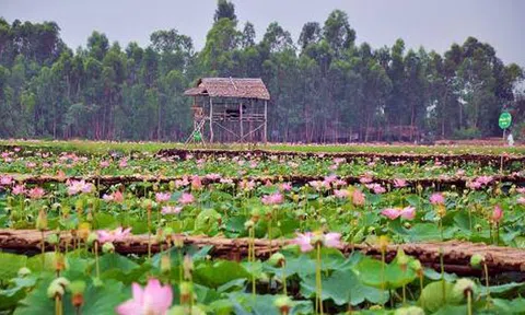 Bí quyết giúp du khách nắm rõ Đồng Tháp như lòng bàn tay