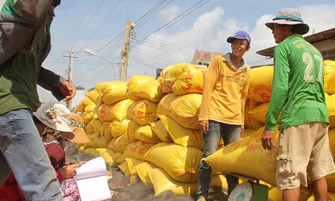 Năm 2014, đồng bằng sông Cửu Long xuất khẩu 5,85 triệu tấn gạo