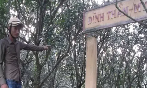 Sự thật chuyện “mãng xà tinh” tu luyện gần 1 thế kỷ ở Vĩnh Long