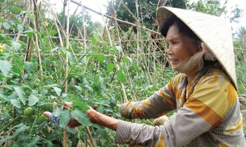 Nông dân giúp nhau thoát nghèo