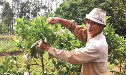  Năng động làm giàu 