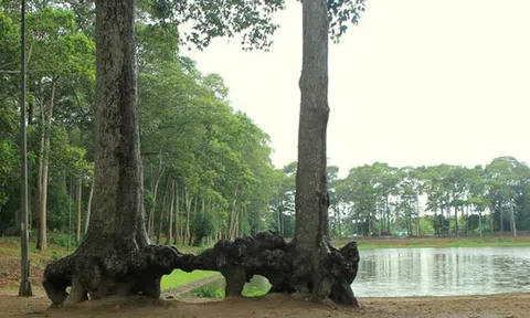 Khám phá nét duyên thầm của thành phố Trà Vinh