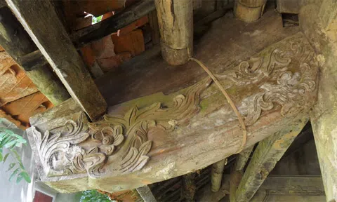 Tiếp bài: Bí ẩn về đôi rắn có mào ở ngôi nghè làng Bùi Thượng