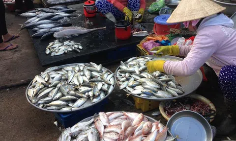 Thừa Thiên Huế: Truy vết khẩn ca nghi mắc COVID-19 tại chợ cá lớn nhất ở Huế