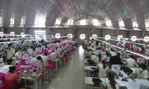 Tỉnh Thừa Thiên Huế tìm giải pháp tạo việc làm cho người lao động từ vùng dịch trở về