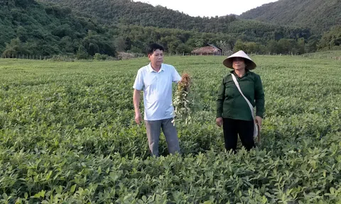 Chuyện ghi ở Piêng Lăn