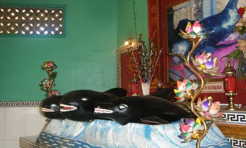 Khu mộ táng cá Ông Voi khủng nhất Việt Nam (Kỳ I)