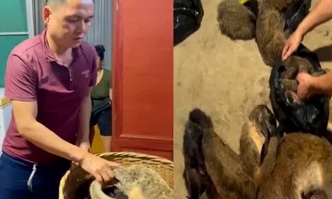 Thanh Hóa khởi tố đối tượng mua bán động vật hoang dã