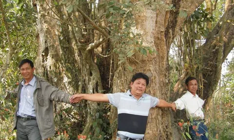 Những bức tượng lạ trong ngôi cổ tự và cặp đại thụ củ chi linh thiêng (Kỳ I)