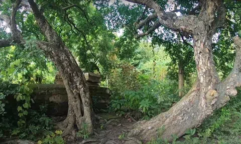 Giải mã khu mộ bị vua Gia Long trừng phạt ở Tiền Giang (Kỳ cuối)