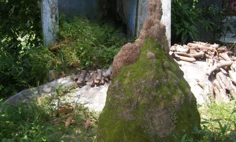 Những ám ảnh kinh hoàng về trùm phỉ Bảy Đởm vùng thất sơn - Tên cướp cạn có võ gồng Trà Kha (Kỳ 1)