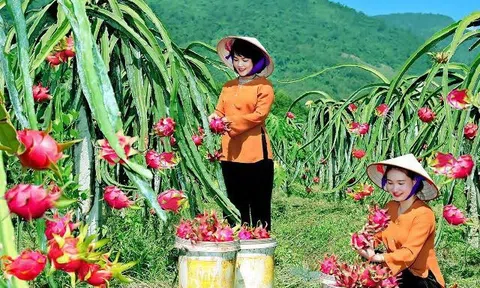 Vĩnh Phúc - Điểm sáng thực hiện “mục tiêu kép”: Vẫn đạt mức cao chỉ tiêu phát triển kinh tế - xã hội (Bài 3)