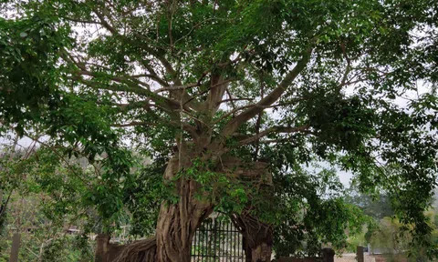 Về nơi địa đầu dòng Lam: Kiên cường trong giông bão (kỳ 2)