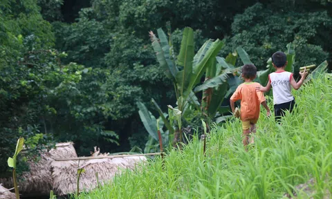 Tiếng hát mồ côi - Niềm mong mỏi về một gia đình yên vui