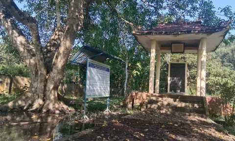 Di tích mộ Đốc Thiết ở huyện Quỳ Châu, Nghệ An: Nhếch nhác do thiếu sự quan tâm, chăm sóc