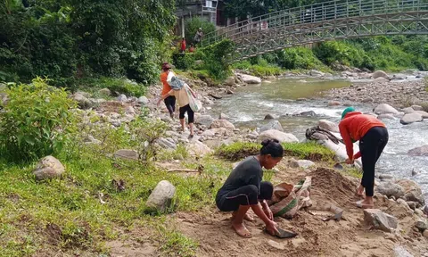 Nghệ An: Người dân ở “ốc đảo” Hữu Khuông cấy lúa, sàng cát, vác đá sửa nhà giúp gia đình chính sách