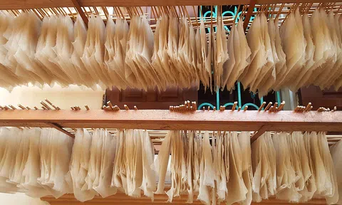 Sự kiện nghệ thuật "Bóng dó" diễn ra tại Viện Goethe từ ngày 12 - 14/08/2022