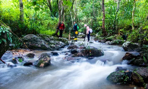 Chiêm ngưỡng thiên nhiên hoang dã, nơi sinh sống của hổ Đông Dương