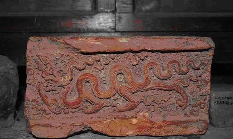 Con rắn nỗi sợ và vận may