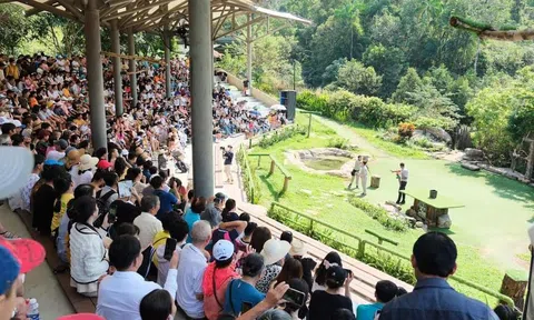 Chuỗi hoạt động kích cầu du lịch Phú Quốc nhằm tạo điểm nhấn, sức hút phát triển du lịch