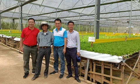 Ecofarm - Thương hiệu Nông sản sinh thái nâng tầm giá trị Việt