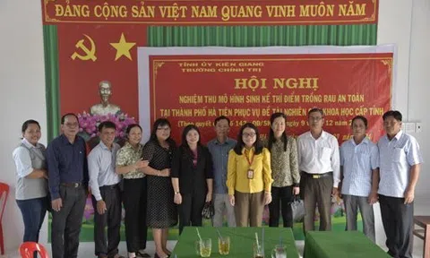 Kiên Giang hiệu quả từ mô hình trồng rau của đồng bào Khmer vùng biên giới