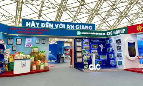 CIC Group đăng quang vô địch Giải futsal tỉnh An Giang năm 2025