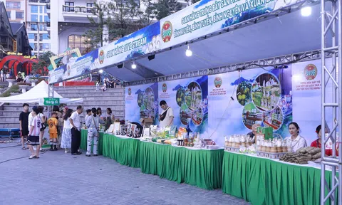 Phú Thọ: Nông sản Đất Tổ – Bài toán kinh tế từ không gian trưng bày Tam Đảo