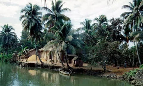 Những vần thơ đẹp của Nguyễn Khuyến trong ba bài thơ thu