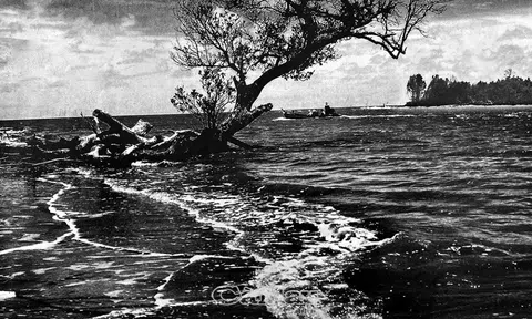 Về Năm Căn nhớ Làng rừng Nhà Hội