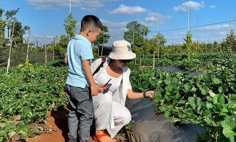Gia Lai: Ngành du lịch và dịch vụ - Tìm cách thích ứng với tình hình mới