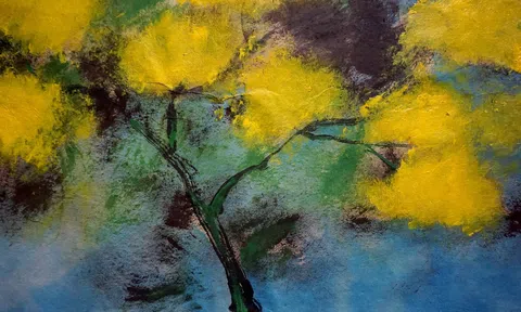 Đẹp - cuộc cạnh tranh thầm lặng