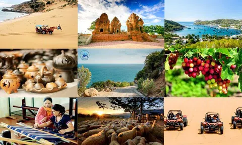 Ninh Thuận: Kết quả thực hiện Nghị quyết số 07-NQ/TU về phát triển ngành du lịch