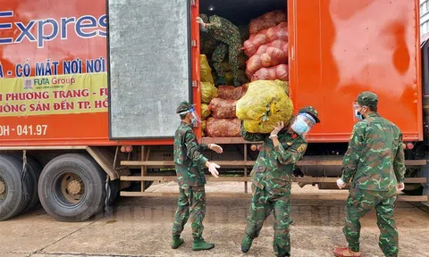 Tân Bình tiếp tục phân phối 20 tấn rau củ và 1.650 túi an sinh xã hội về cơ sở