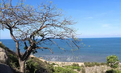 Thêm 2 khu dự trữ sinh quyển của Việt Nam được UNESCO công nhận, đó là các khu dự trữ sinh quyển