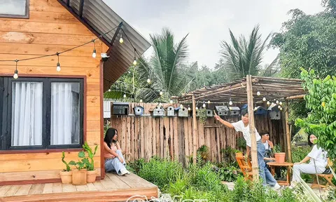 Cà Mau: Tái khởi động và phục hồi, phát triển du lịch