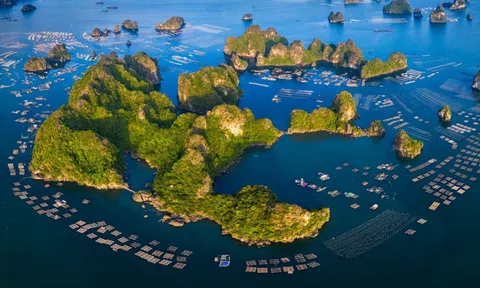Những điểm du lịch nào của Việt Nam chuẩn bị mở cửa?